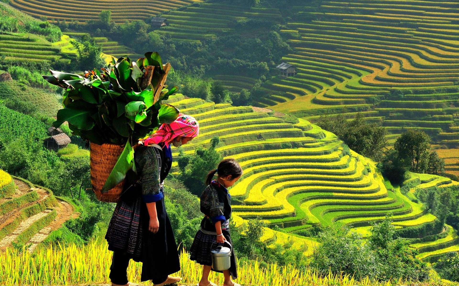Saigon Tours