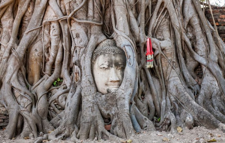 Ayutthaya Temples Small Group Tour with Lunch from Bangkok