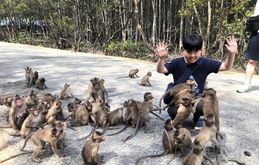 Can Gio Monkey Island Private Tour – Exploring The World’s Biosphere