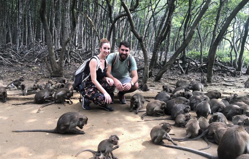 Can Gio Monkey Island Private Tour – Exploring The World’s Biosphere