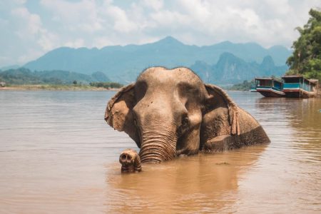 Luang Prabang: Cruise to Pak Ou Caves & Kuang Si Waterfalls